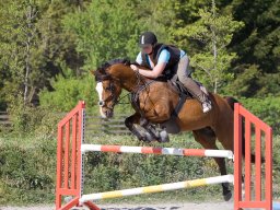 IMG-0654_web